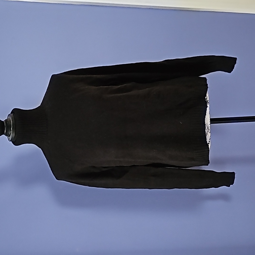 J Crew turtleneck sweater